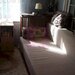 Apartament Elegant in Vila zona Gradina Botanica-Splaiul Independentei