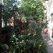 Apartament Elegant in Vila zona Gradina Botanica-Splaiul Independentei